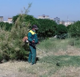 عزم شهرداری ملایر برای حفظ فضای سبز از کام آتش‌ 