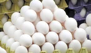 تولید روزانه ۴۲ تن تخم مرغ در استان همدان