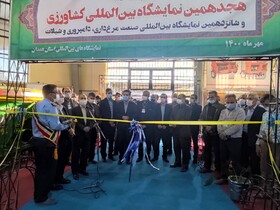 ۲۷ درصد اشتغال استان همدان در بخش کشاورزی است