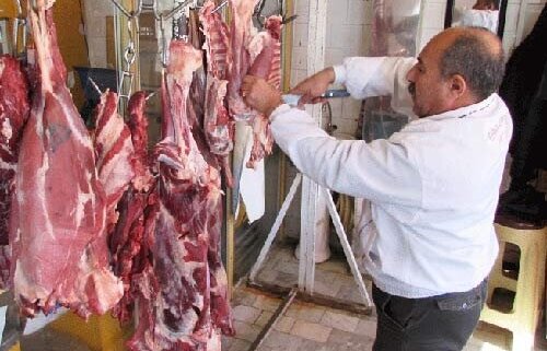 افزایش ۱۰ درصدی میزان کشتار دام و مصرف گوشت قرمز گرم در همدان