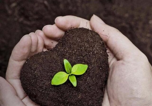 منابع خاک مورد بی مهری قرار گرفته است
 منابع خاک مورد بی مهری قرار گرفته است