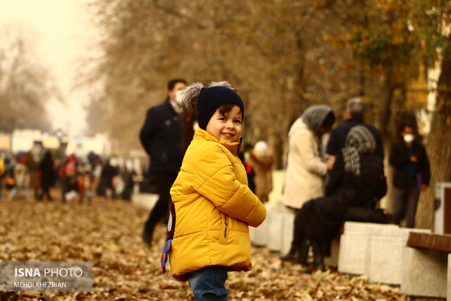 گزارش تصویری/ گذرپاییزی؛ خیابان بوعلی