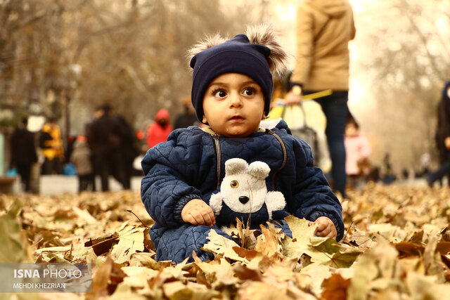 گزارش تصویری/ گذرپاییزی؛ خیابان بوعلی