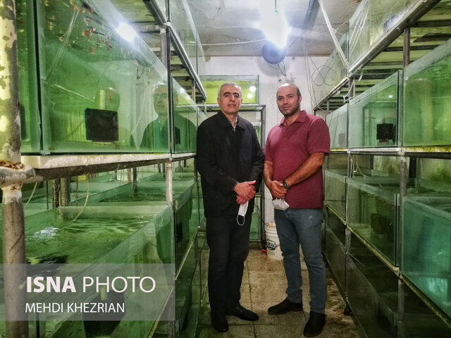 مظلومیتی به زیبایی ماهیان زینتی!