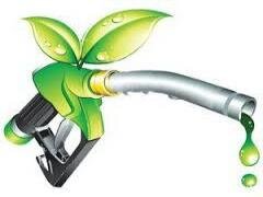 واحدهای تولیدی بخش کشاورزی استان همدان مشکل سوخت ندارند