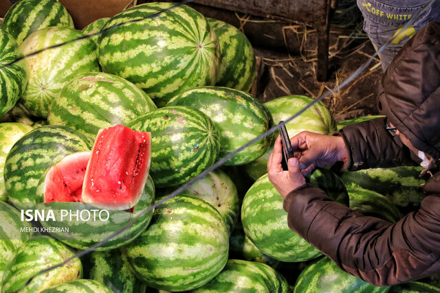 /گزارش تصویری/ بازار میوه همدان در آستانه شب یلدا
