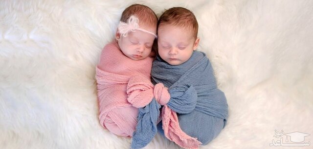 اختصاص ۱.۸ درصد موالید ثبت شده استان همدان به دو قلوها  اختصاص ۱.۸ درصد موالید ثبت شده استان همدان به دو قلوها