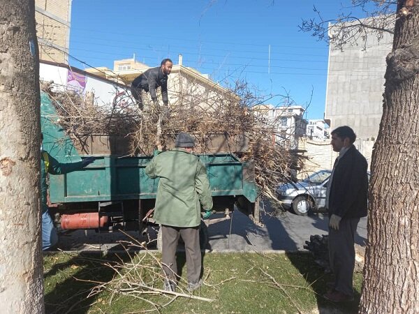 عملیات هرس درختان در سنندج آغاز شد