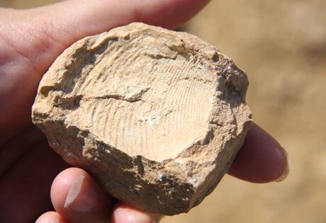 خورزنه؛ پهنه برآمدن خورشید گردشگری همدان