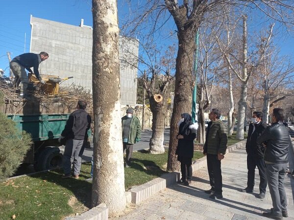 اجرای طرح «جای درختان شهر را خالی نخواهیم گذاشت» در ملایر