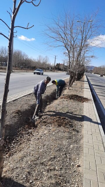 اجرای طرح «جای درختان شهر را خالی نخواهیم گذاشت» در ملایر
