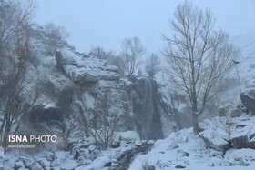 /گزارش تصویری/ همدانِ برفی