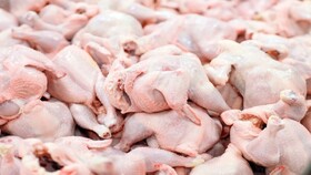 تولید روزانه  ۲۰۰ تُن مرغ در استان همدان/قیمت جدید مرغ قطعه بندی شده اعلام شده است