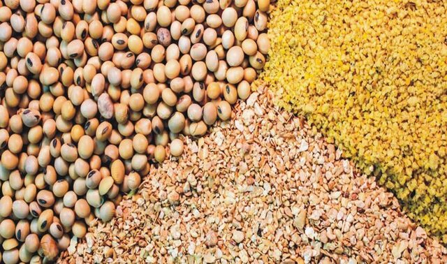 افزایش ۴۰ درصدی توزیع نهاده دام و طیور در استان همدان