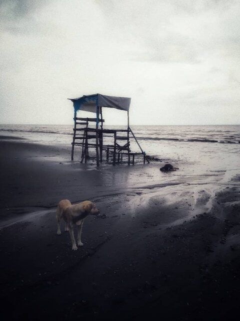 "هفته فیلم و عکس ملایر "؛ بازتاب هنری اندیشهها و نگاه جوانان