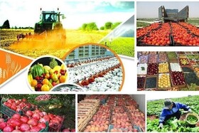 رتبه دوم استان همدان در نمونه‌های بخش کشاورزی کشور