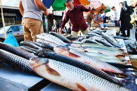 افزایش ۲۰ درصدی قیمت ماهی شب عید در استان همدان