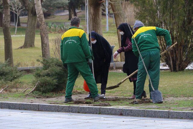 غرس ۴۰ نهال به دست اهالی رسانه همدان