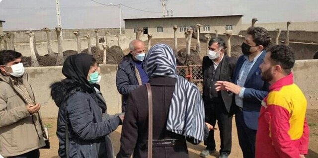 تجهیز ۹۸ درصد اراضی فامنین به سیستمهای نوین بارانی