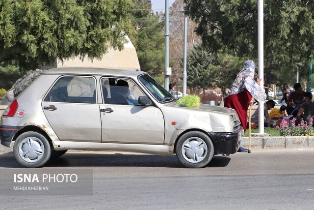 گزارش تصویری؛ روز طبیعت در همدان