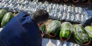 عکس تزئینی است هندوانه با طعم تریاک به مقصد نرسید