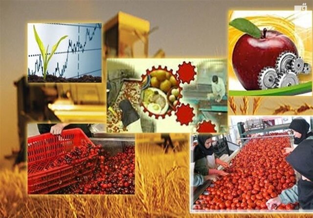 ۱۸۰ واحد صنایع تبدیلی در همدان در دست احداث است