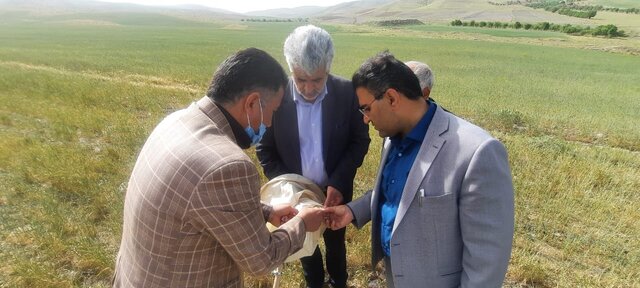 از برگزاری مانور امنیت غذایی تا کشف ۹۱۱ کیسه آرد در ملایر