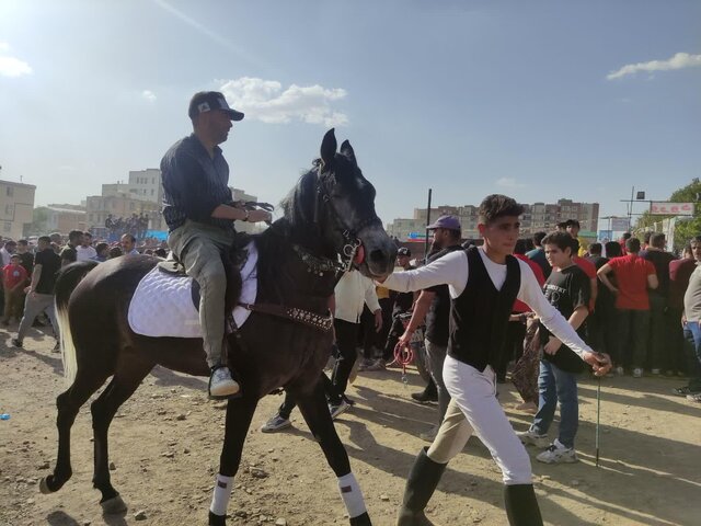 برگزاری نخستین همایش سوارکاری در ملایر