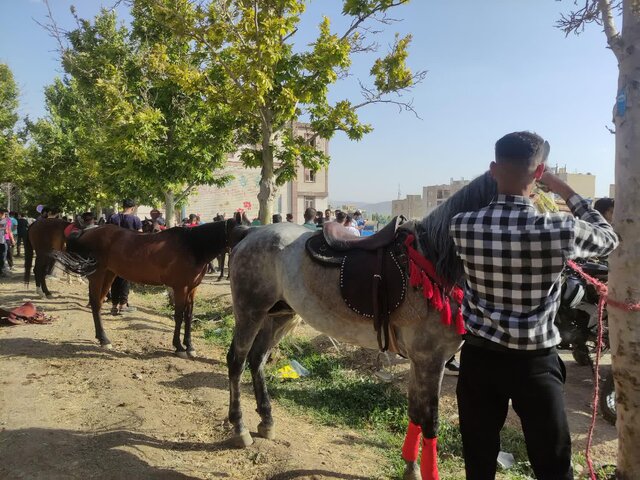 برگزاری نخستین همایش سوارکاری در ملایر