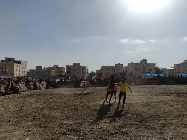 متقاضیان احداث باشگاههای سوارکاری ملایر در گیر و دار موانع برای اخذ مجوز