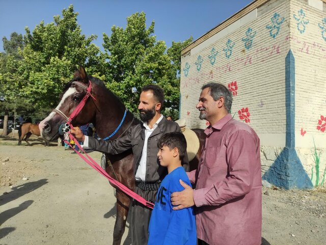 متقاضیان احداث باشگاه‌های سوارکاری ملایر در گیر و دار موانع برای اخذ مجوز