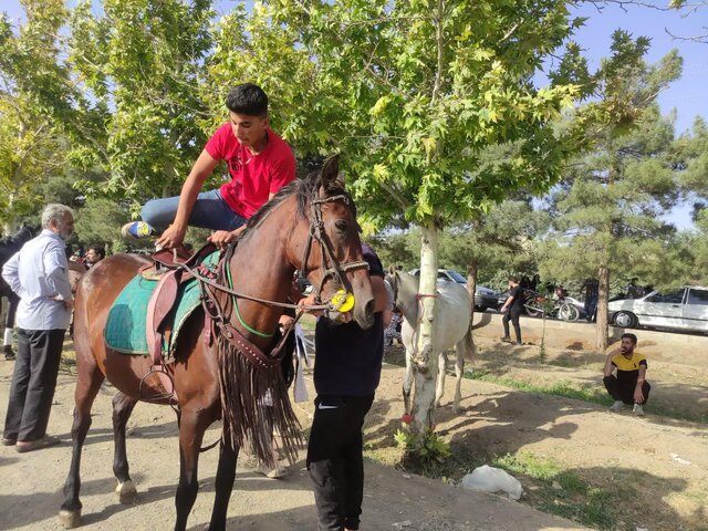 متقاضیان احداث باشگاههای سوارکاری ملایر در گیر و دار موانع برای اخذ مجوز