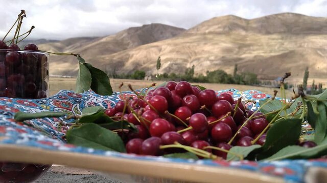 زنگنه؛ میزبان سومین جشنواره آلبالو