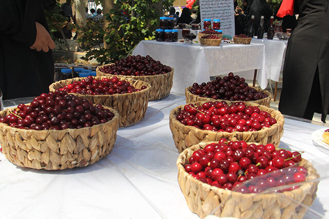 زنگنه؛ میزبان سومین جشنواره آلبالو
