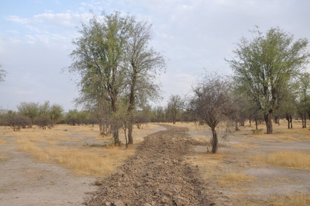 احداث ۱۵ هکتار آتش بر در اراضی منابع طبیعی ملایر برای جلوگیری از آتش سوزی