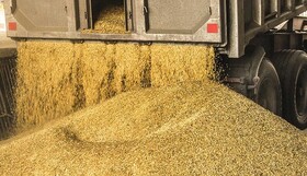 صدور بیش از ۲۰۰۰ مجوز حمل نهاده از اسدآباد به مقصد سایر شهرستان‌ها