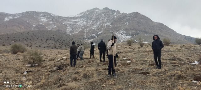 پویش بذرکاری در سطح ۱۵ هکتار از اراضی بام ملایر