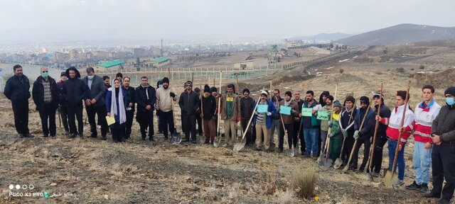 پویش بذرکاری در سطح ۱۵ هکتار از اراضی بام ملایر