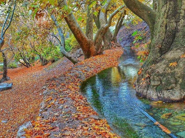 ظرفیت‌های تاریخی و گردشگری نهاوند نیازمند توجه است