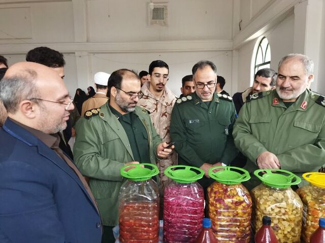 ۹ طرح اقتصاد مقاومتی در ملایر به بهره‌برداری رسید