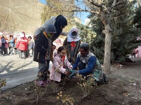 طرح "مدرسه سبز" ملایر؛ نماد فرهنگ مهربانی با طبیعت