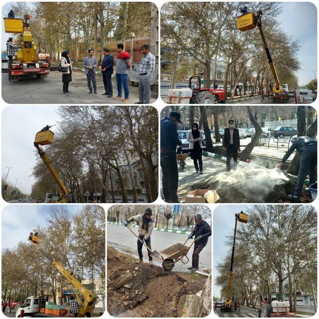 نجات "گنجینههای سبز ملایر" در قالب یک طرح پژوهشی