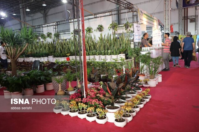 از باید و نباید تا بود و نبود نمایشگاه همدان