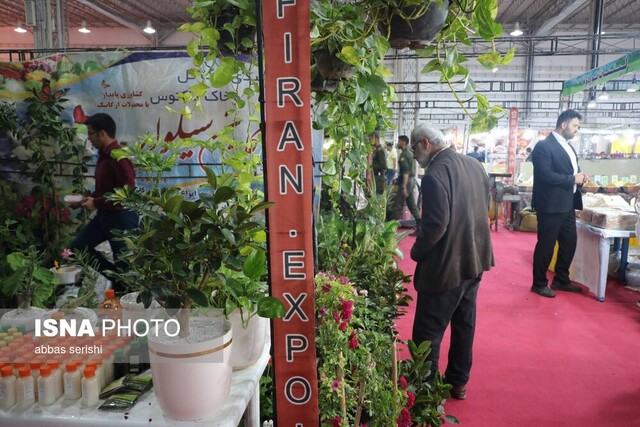 از باید و نباید تا بود و نبود نمایشگاه همدان