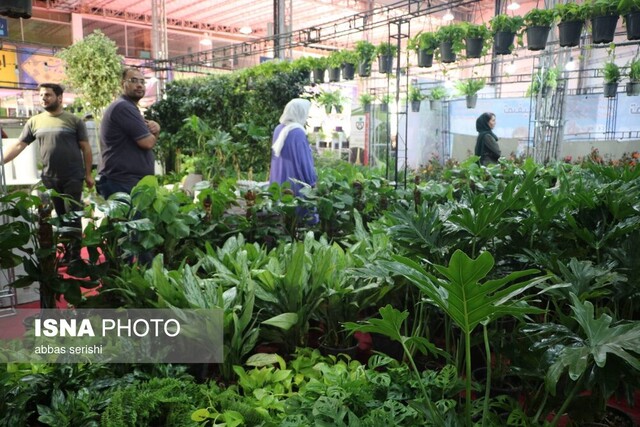 از باید و نباید تا بود و نبود نمایشگاه همدان