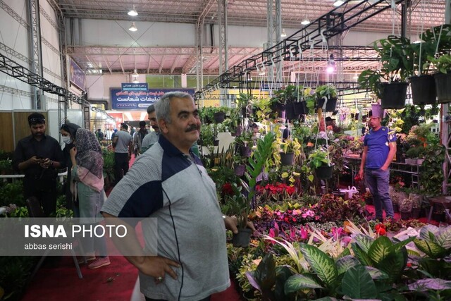 از باید و نباید تا بود و نبود نمایشگاه همدان