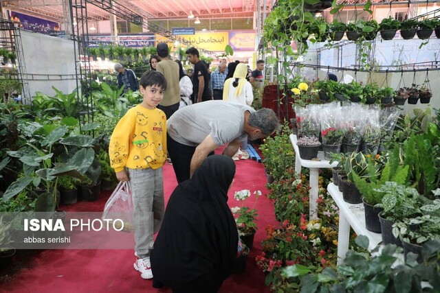 از باید و نباید تا بود و نبود نمایشگاه همدان