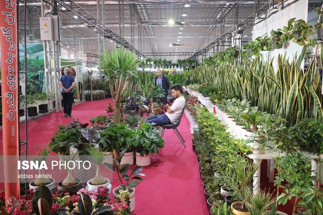 از باید و نباید تا بود و نبود نمایشگاه همدان