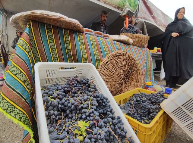 رونمایی از نشان جهانی انگور در دره جوزان ملایر