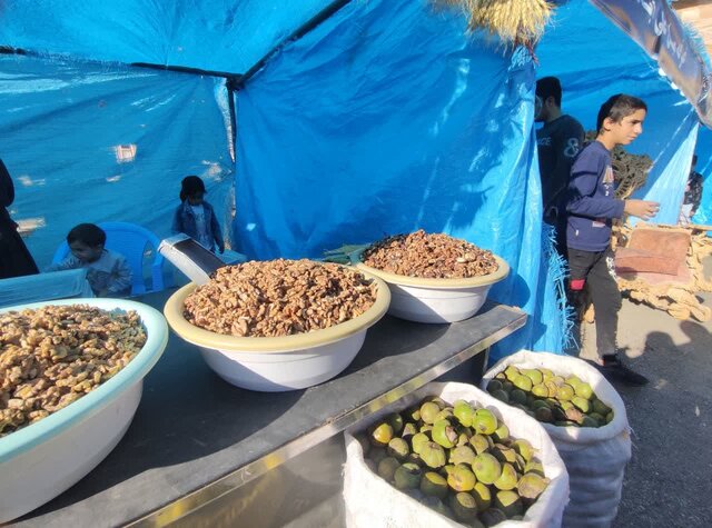 ملایر به ایستگاه پایانی جشنوارههای گردشگری رسید